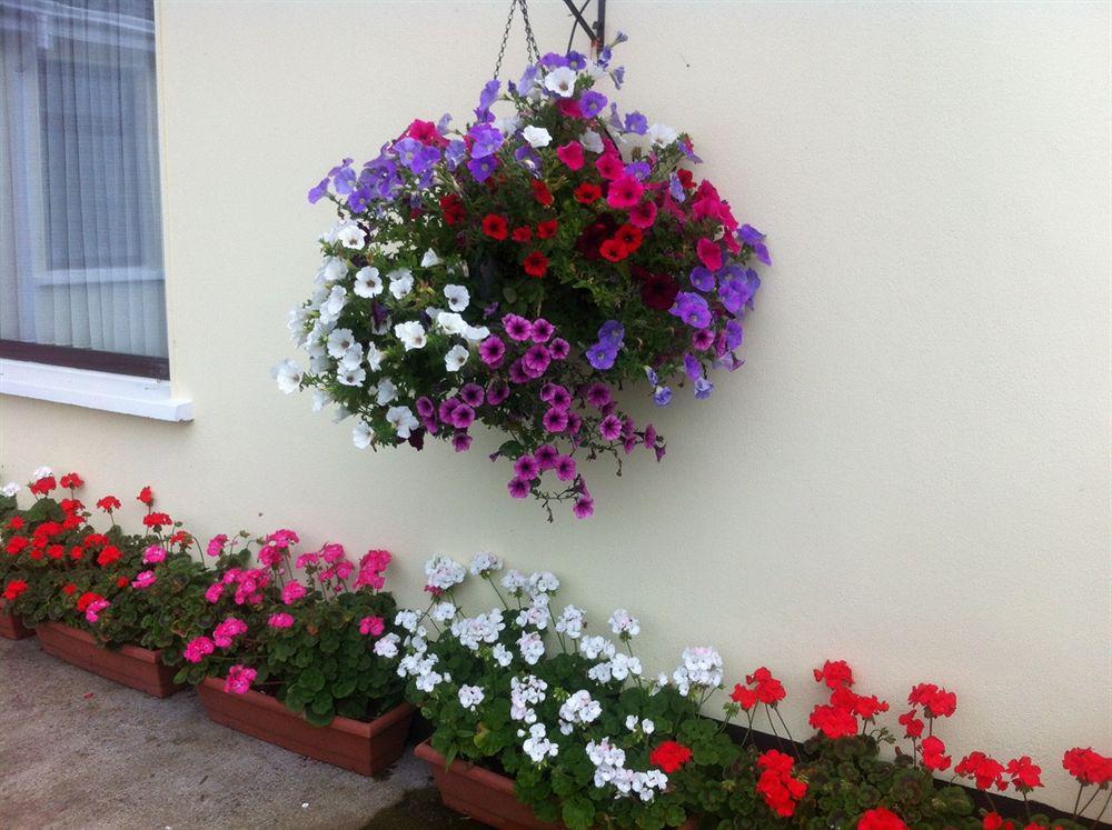 Hillview Self Catering Lusk Exterior foto