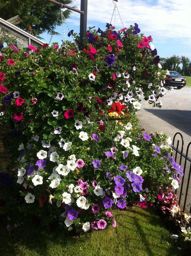 Hillview Self Catering Lusk Exterior foto