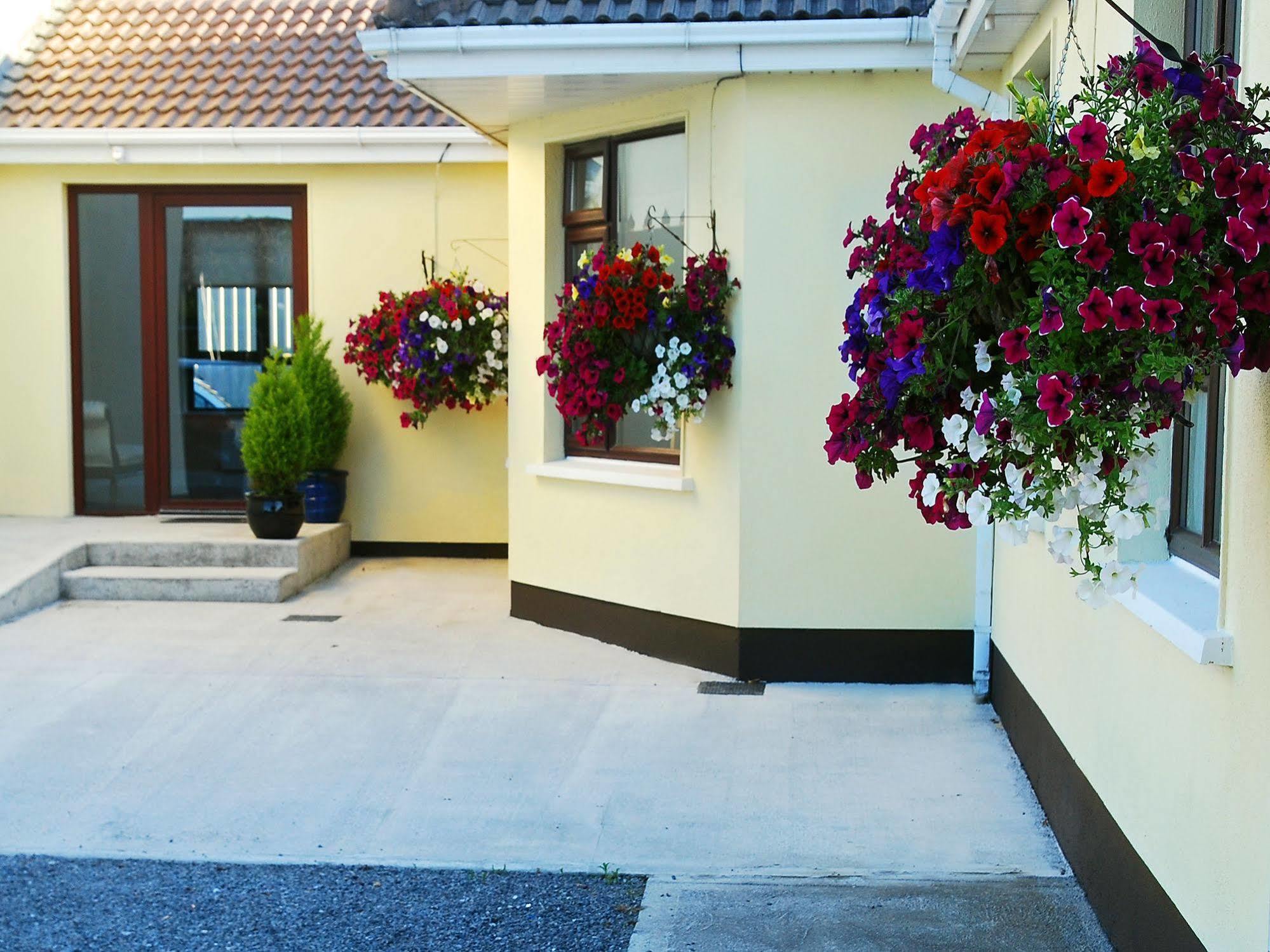 Hillview Self Catering Lusk Exterior foto